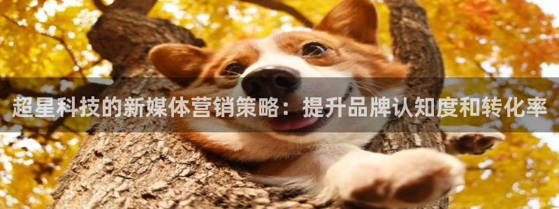 金年会官方下载入口