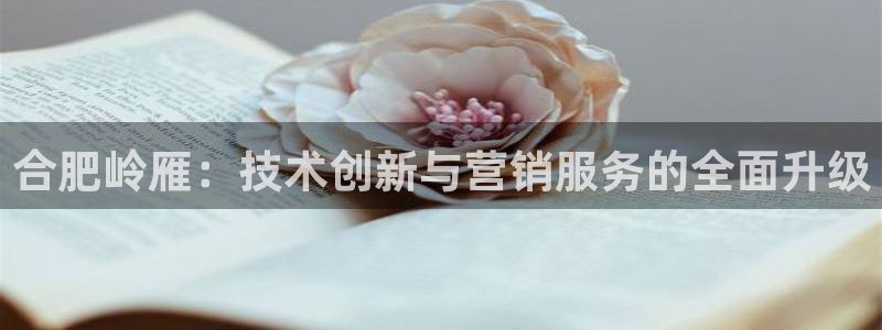 金年会下载