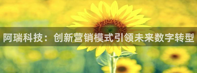 金年会体育平台新地址