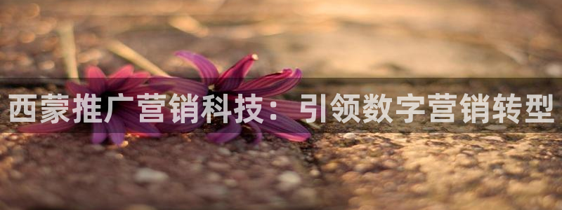 金年会app是不是钓鱼软件