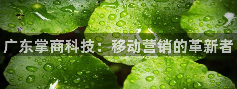金年会信誉至上