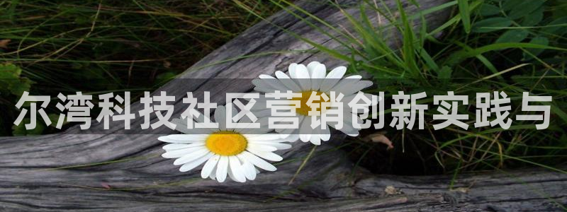 金年会网站