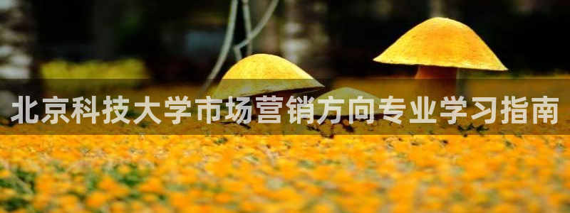 金年会体育买球
