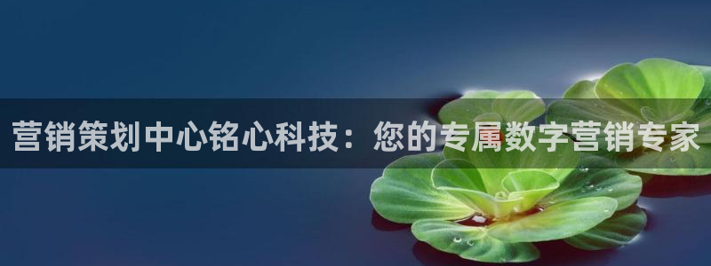 金年会官方网