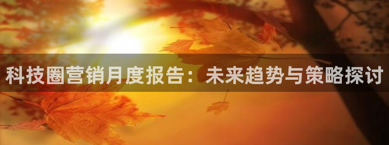 金年会体育合法吗
