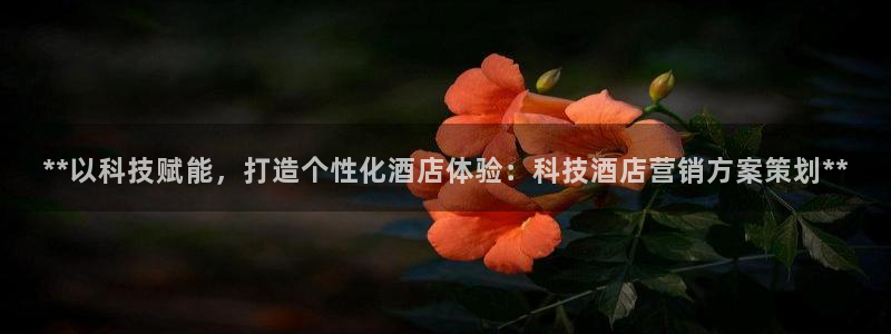 金年会平台官网登录