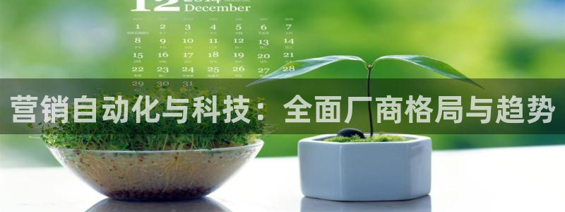 金年会电子游泳app