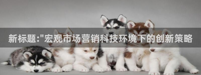 金年会体育苹果下载app