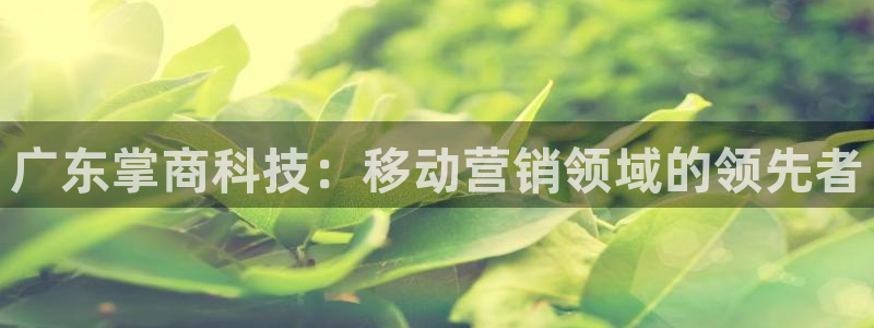 金年会体育诚信