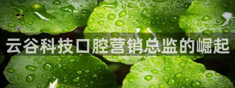 金年会官方app下载官网