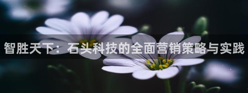 金年会官方在线播放