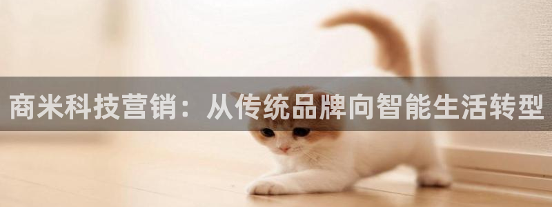 金年会体育买球app下载官网