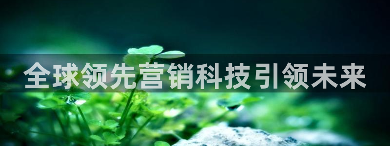 金年会体育查处