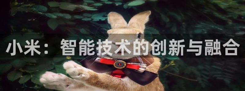 金年会网页版登陆
