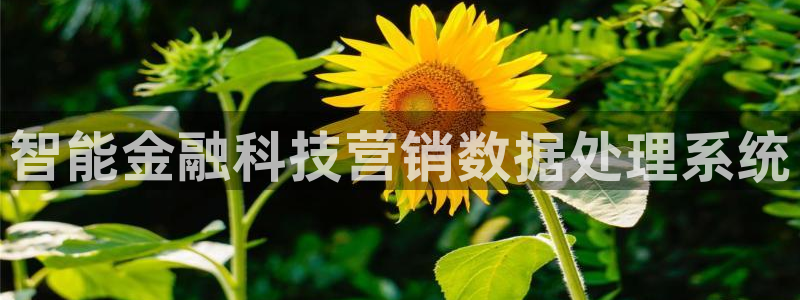 金年会体育平台是真的吗知乎