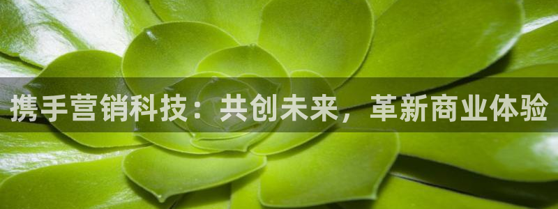 金年会体育app入口