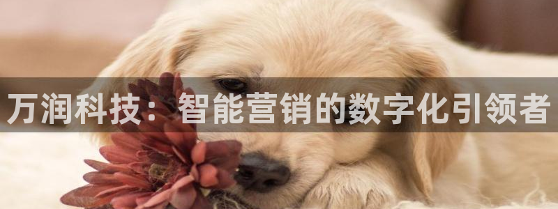 金年会电子游戏—2023全球木材与木制品大会