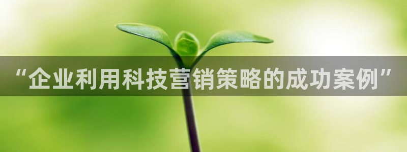 金年会体育平台新地址