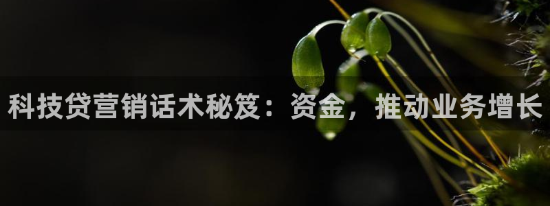 金年会体育app最新官网入口网址是什么