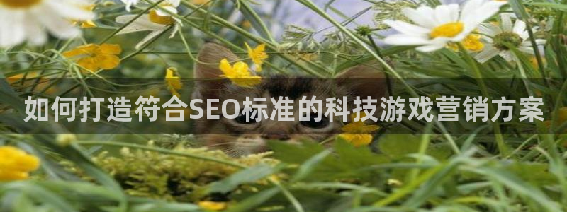 金年会体育平台合法吗