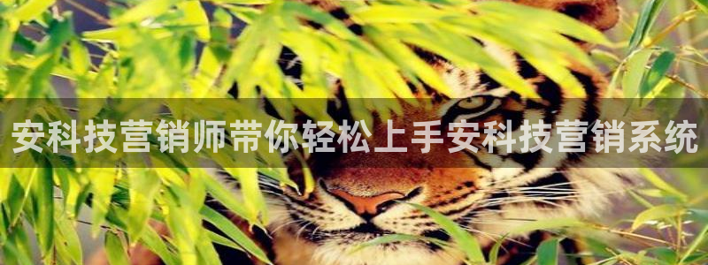 金年会APP官方网站