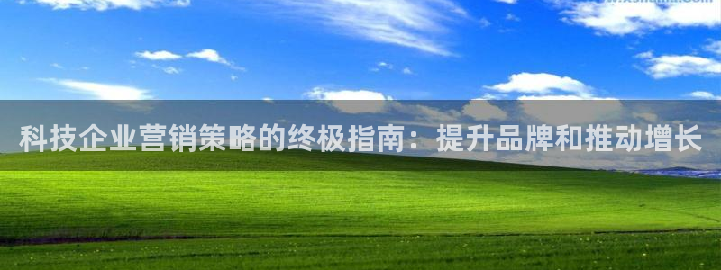 金年会官方网址查询