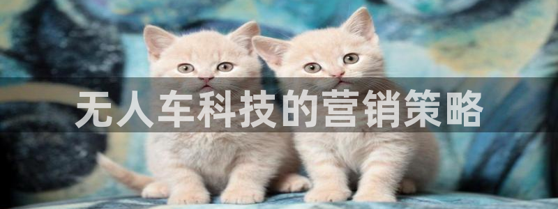 金年会下载官方