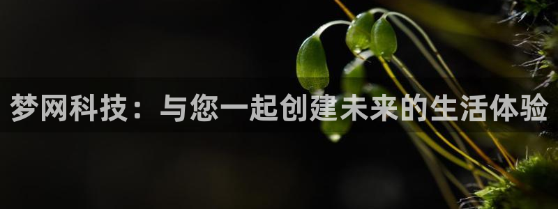 金年会体育登入入口