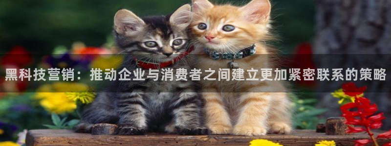 金年会 金字招牌诚信至上在线