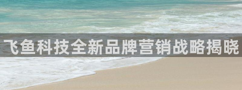 今年会金年会