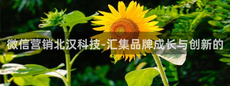金年会官方娱乐app下载