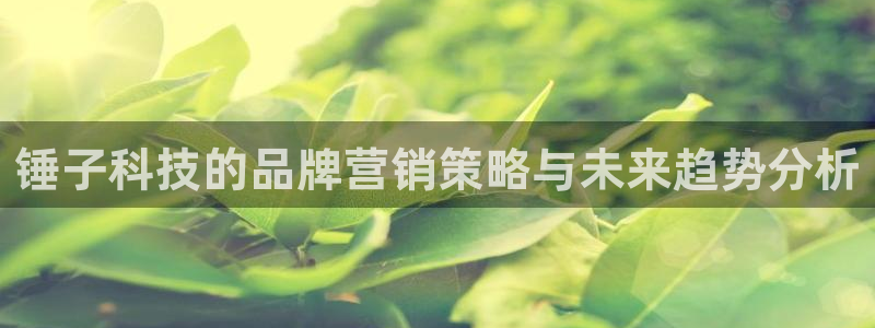 金年会官网登入