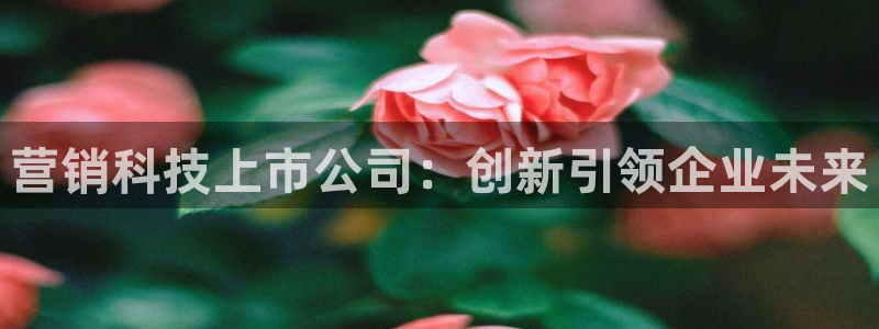 金年会会不会提不了款