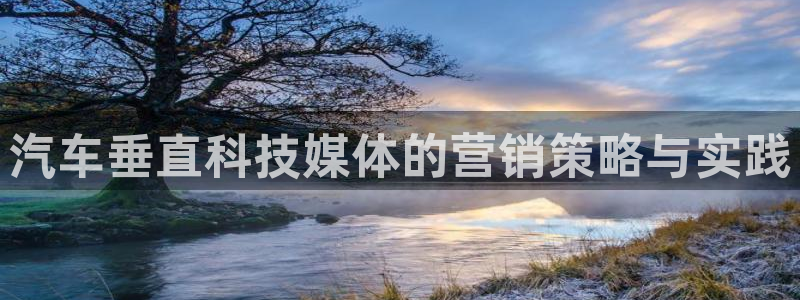 金年会网站平台怎么样