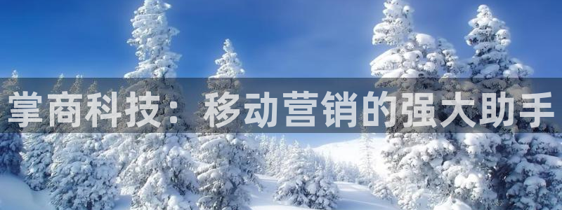 金年会手机版官方网站