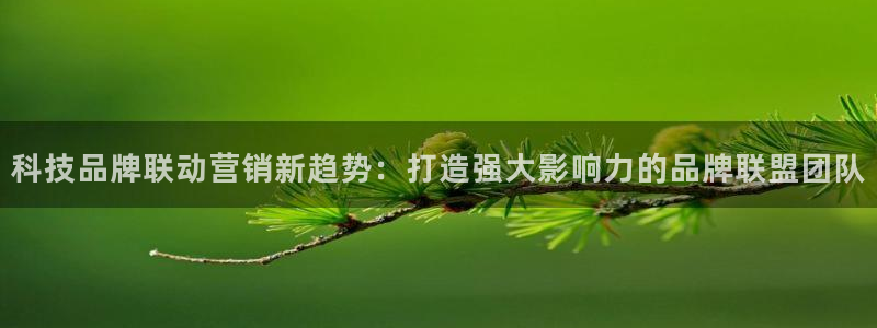 金年会电子游戏—2023全球木材与木制品大会