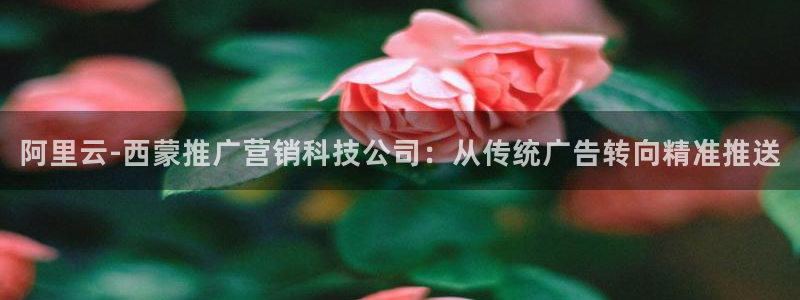 金年会网赌靠普吗