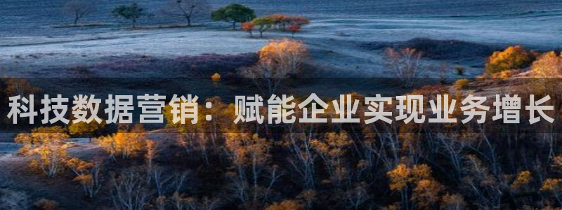 金年会体育app属于正规平台吗