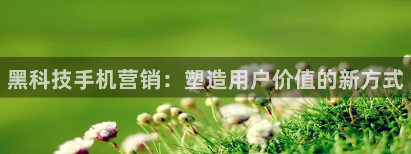 金年会体育论坛