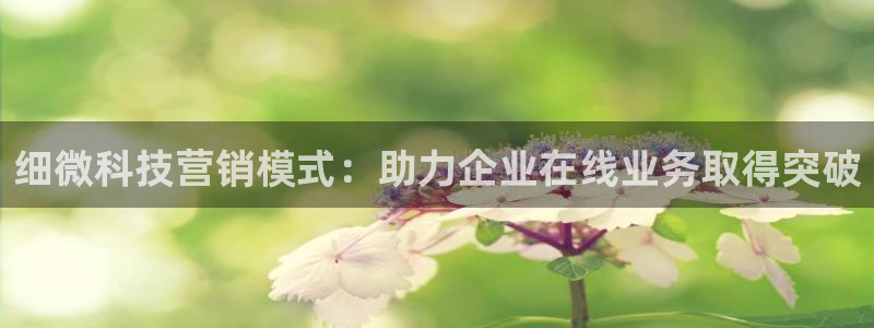 金年会官方下载app