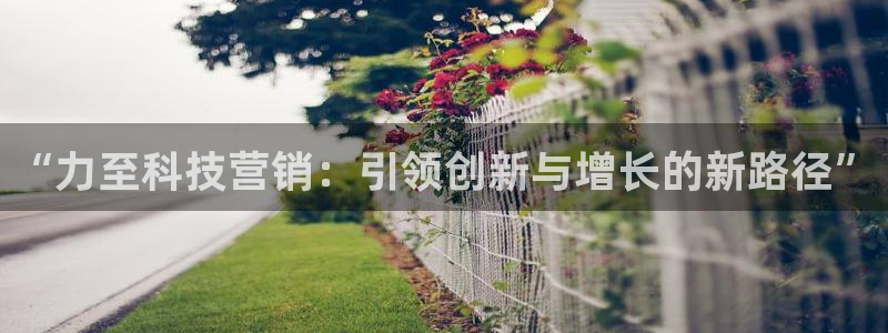 金年会信誉至上是什么意思