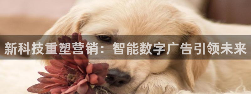 金年会体育app最新官网