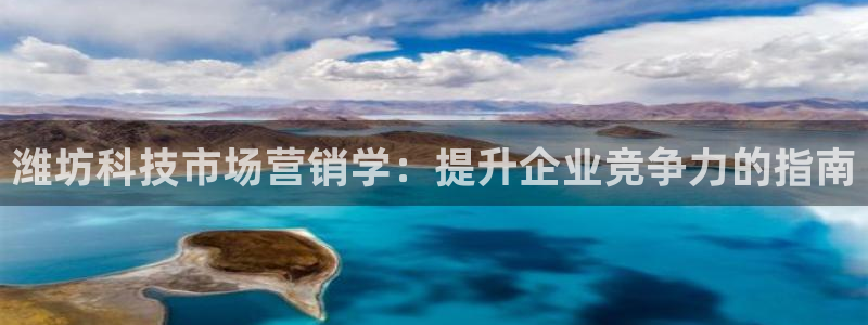 金年会提现不了