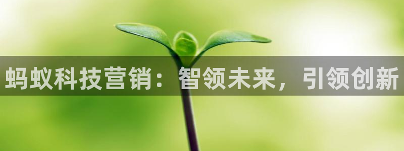 金年会金字招牌信誉至上是黑平台吗