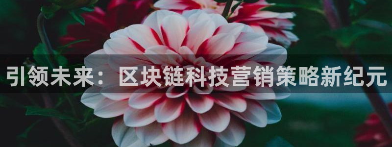 金年会pg麻将胡了