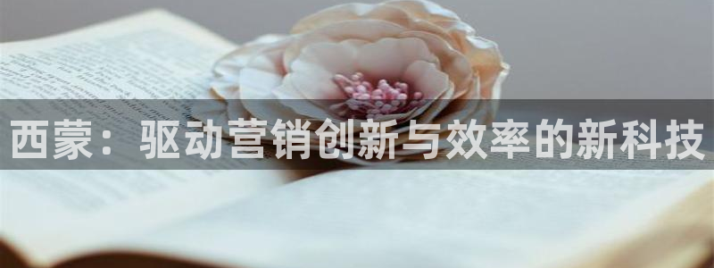 金年会体育官网入口