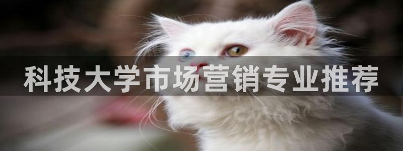 金年会电子