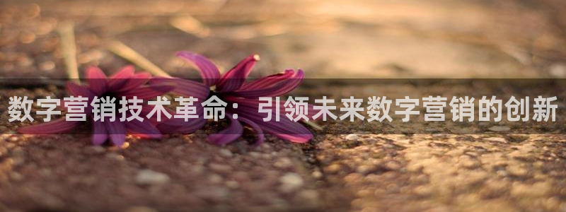 金年会官方网站入口