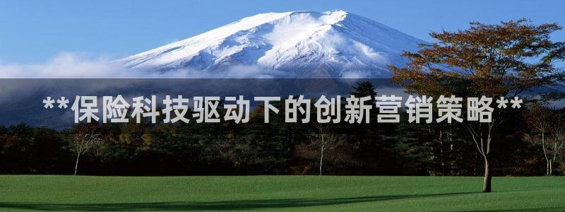 金年会体育app平台怎么样可靠吗