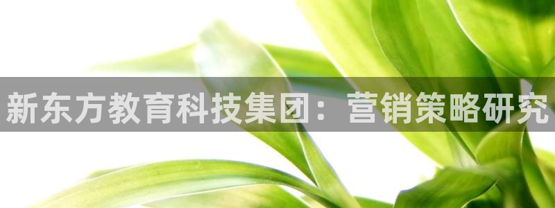 金年会电子